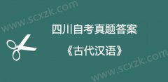 四川自考2019年4月《古代汉语》真题部分答案